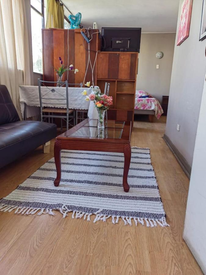 Departamento Plaza Parroquia Quinta Vergara Vina del Mar Ngoại thất bức ảnh