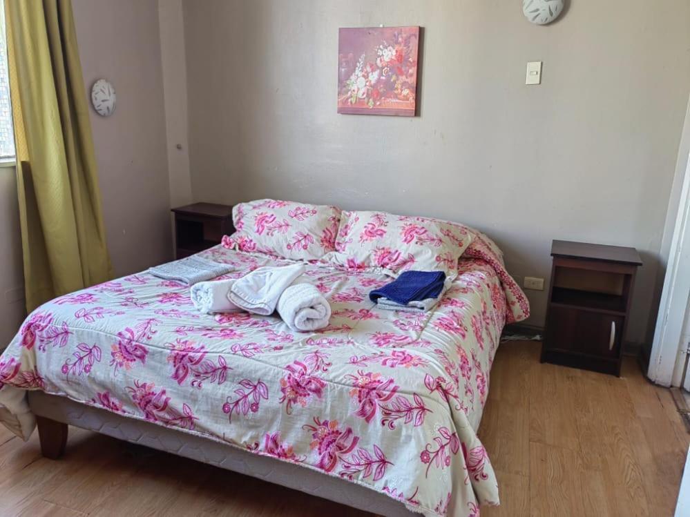 Departamento Plaza Parroquia Quinta Vergara Vina del Mar Ngoại thất bức ảnh