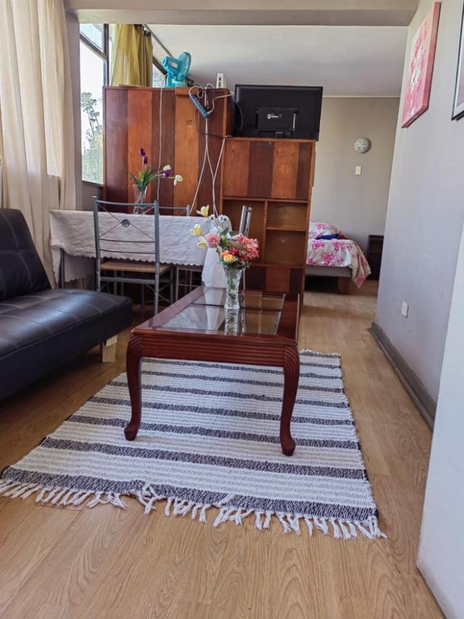 Departamento Plaza Parroquia Quinta Vergara Vina del Mar Ngoại thất bức ảnh